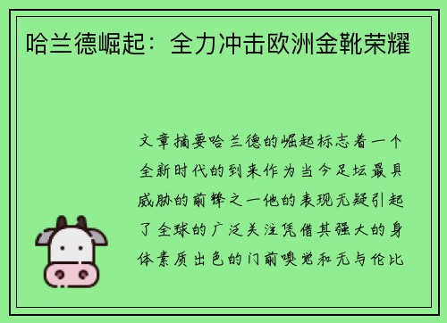 哈兰德崛起：全力冲击欧洲金靴荣耀