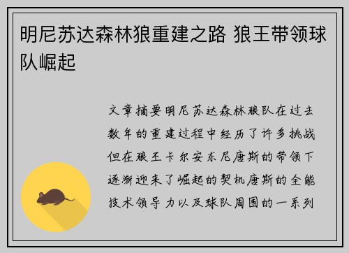 明尼苏达森林狼重建之路 狼王带领球队崛起