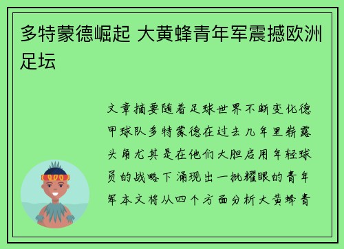 多特蒙德崛起 大黄蜂青年军震撼欧洲足坛
